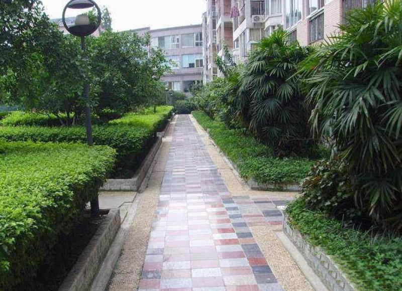 52175984e8454e3d1855065cffa3cfcf_s800X600_os2f626c.jpg 52175984e8454e3d1855065cffa3cfcf_s800X600_os2f626c.jpg