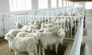 養(yǎng)殖場二次供水設(shè)備.png 養(yǎng)殖場二次供水設(shè)備.png